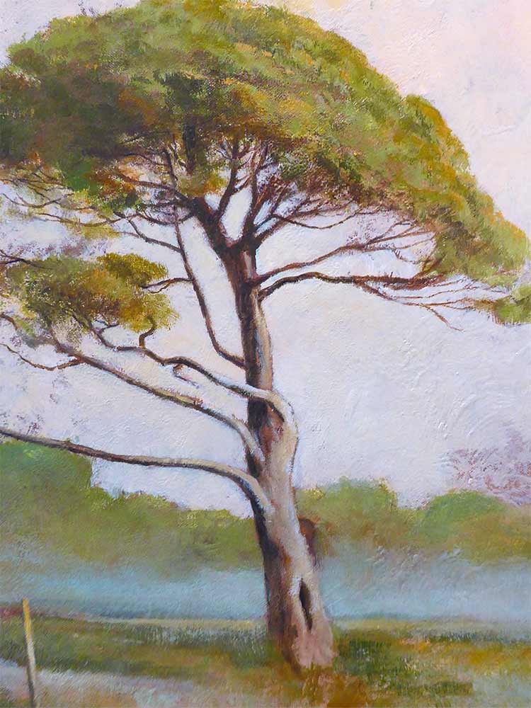Peinture d'un grand pin parasol isolé dans la campagne — ouvrir la brochure « Un livre traitant de l'Arbre »